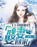 上司息怒:顽妻娶回家